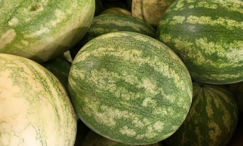 哺乳期月经推迟是什么原因引起的-哺乳期例假不规律怎么办网—知名的哺乳期月经推迟是什么原因引起的网站,分享哺乳期例假不规律正常吗知识